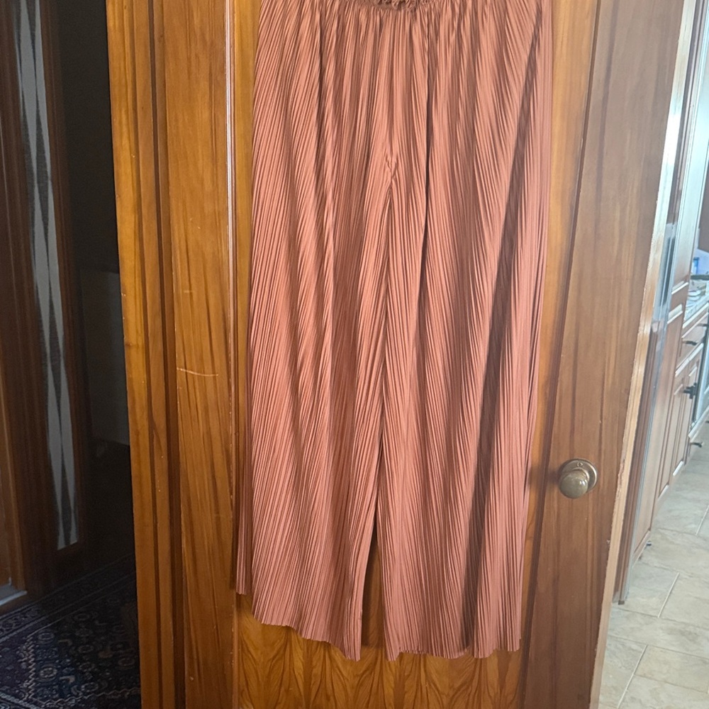 Astr Wide Leg Pleated Pants in Rust